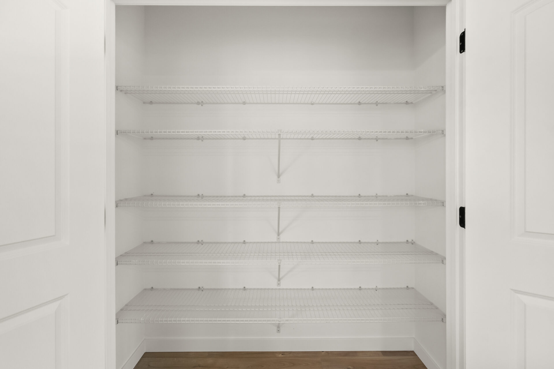 Pantry with shelving at 230 Stirling Loop