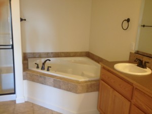 "Cypress" 2463 Master Bathroom
