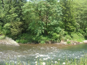 Kalama River