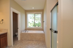 Master bathroom (2845 model)         